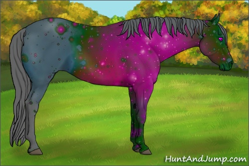 Horse Color: ERROR: UNKNOWN ANOMALY