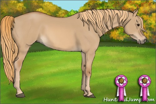 Horse Color: Red Dun 