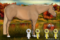 Horse Color:Chestnut Sabino 