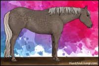 Horse Color:Silver Black 