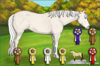 Horse Color:Silver Perlino Dun Sabino Splash