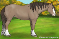 Horse Color:Classic Champagne Splash 
