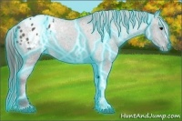 Horse Color:Thunderstruck Grullo Blanket 