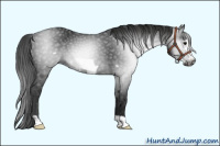 Horse Color:Gray Black Frame 