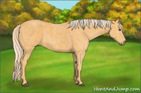 Horse Color:Palomino  Brindle
