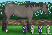 Horse Color:Smoky Grullo Roan 
