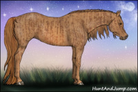 Horse Color:Chestnut  Brindle