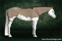 Horse Color:Classic Champagne Splash 