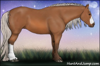 Horse Color:Silver Bay 