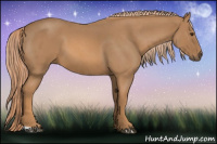 Horse Color:Red Roan 