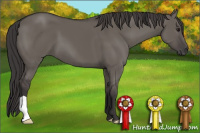 Horse Color:Smoky Grullo