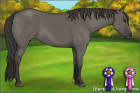 Horse Color:Smoky Grullo 
