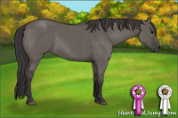 Horse Color:Smoky Grullo