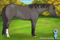 Horse Color:Smoky Grullo 