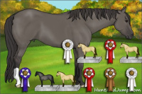 Horse Color:Smoky Grullo 