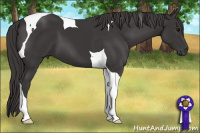 Horse Color:Smoky Black Tobiano 