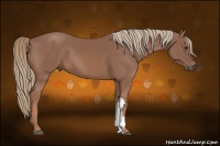 Horse Color:Mushroom Chestnut 