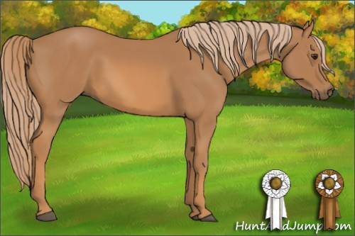 Horse Color: Chestnut Sabino 
