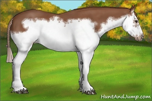 Horse Color: Chestnut Splash Frame 