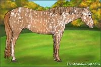 Horse Color:Silver Bay Splash Tobiano Blanket  Brindle