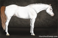 Horse Color:White Spotted Red Roan 