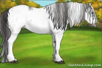 Horse Color:White Spotted Grullo Frame Blanket 