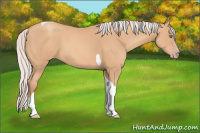 Horse Color:Silver Amber Champagne Tobiano 