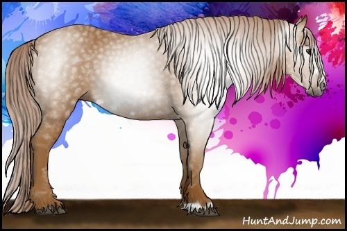 Horse Color:Gray Palomino Frame 