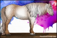 Horse Color:Gray Palomino Frame