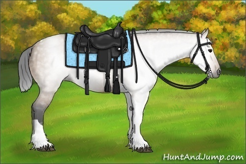 Horse Color:Gray Bay Dun Tobiano 