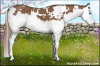 Horse Color:White Spotted Chestnut Splash