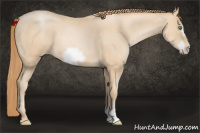 Horse Color:Smoky Blue Roan Pearl Frame 