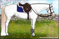 Horse Color:White Spotted Chestnut Frame Blanket 