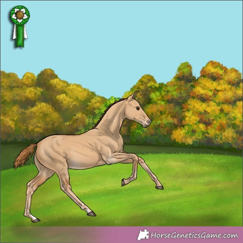Horse Color:Red Dun 