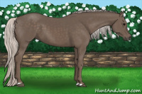 Horse Color:Silver Black 