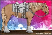 Horse Color:Red Roan 