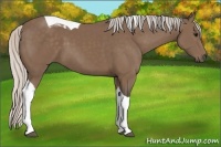 Horse Color:Silver Black Tobiano 