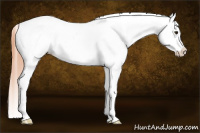 Horse Color:Classic Champagne Snowcap 