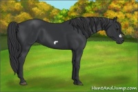 Horse Color:Black Frame
