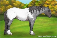 Horse Color:Brown Roan Snowcap 