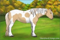 Horse Color:Palomino Dun Tobiano 
