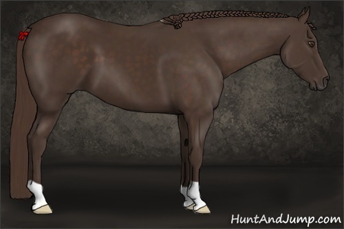 Horse Color: Liver Chestnut 