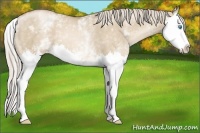 Horse Color:White Spotted Chocolate Palomino Pearl Dun Splash 