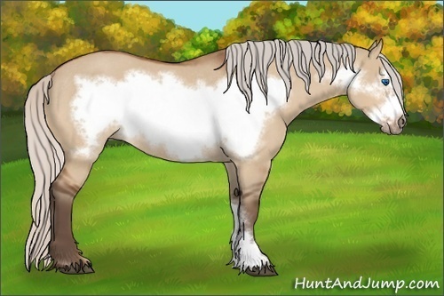 Horse Color: Silver Bay Dun Frame Rabicano 