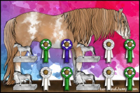 Horse Color:White Spotted Chestnut 