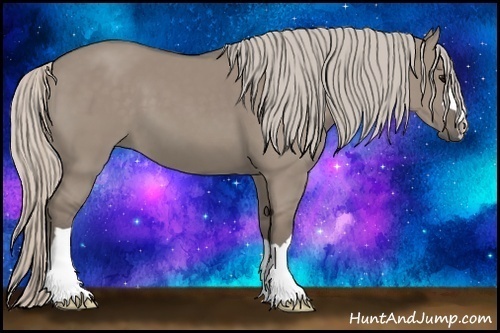 Horse Color: Silver Grullo 