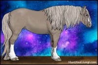 Horse Color:Silver Grullo 