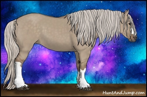 Horse Color: Silver Grullo 