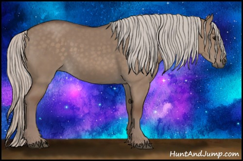 Horse Color: Silver Grullo 