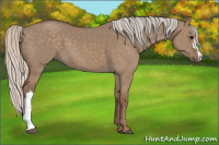 Horse Color:Silver Grullo 